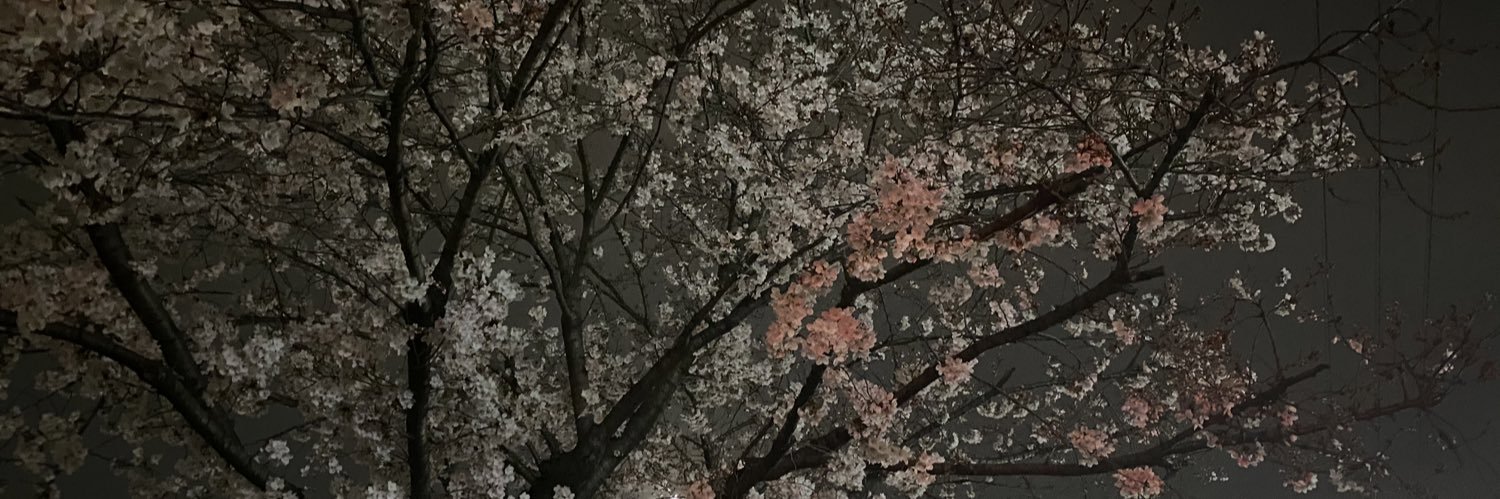 ryo_t0127's profile banner image