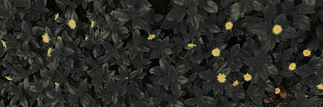 IndriSamty's profile banner image