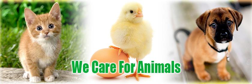 IndiaVeterinary's profile banner image