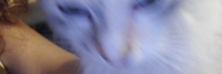 Liina_Studio's profile banner image