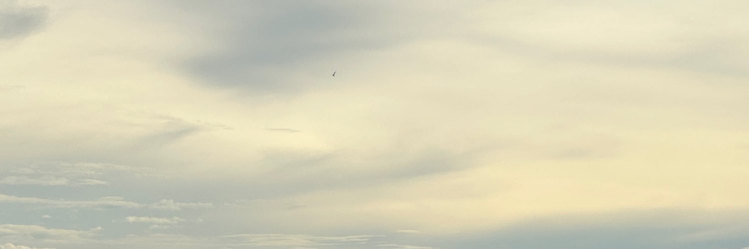 talkxicth's profile banner image