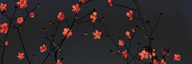 Caseyy_Jade's profile banner image