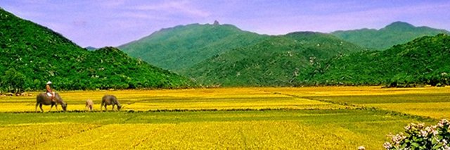 teppi08's profile banner image