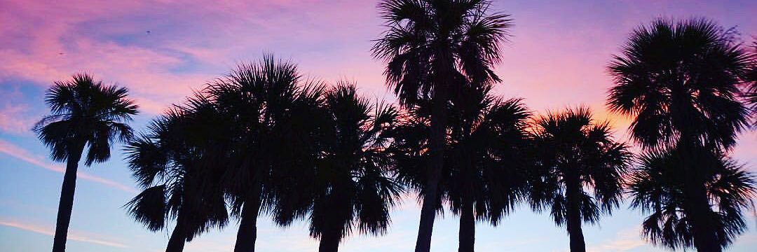 tylerdeschanel's profile banner image