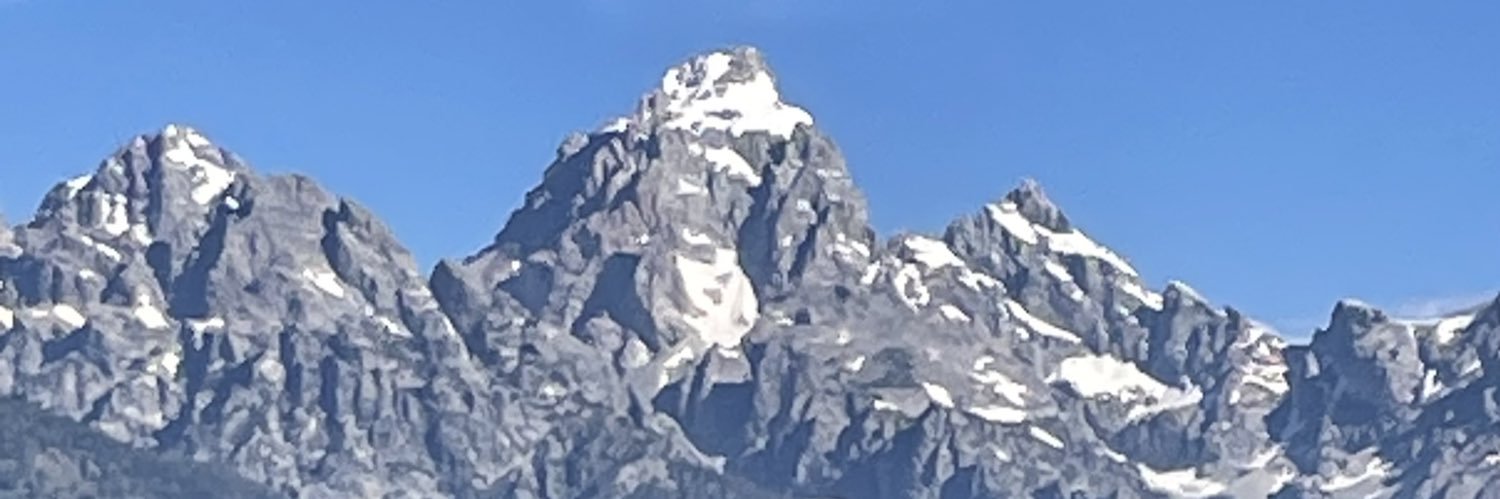 monkeypenny34's profile banner image