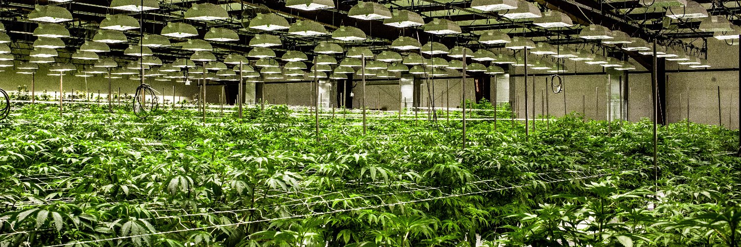 OregonBudCo's profile banner image