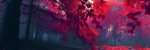 Earthly_Beast's profile banner image