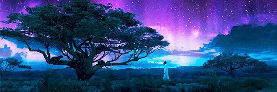 RodneyDOrr's profile banner image