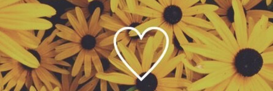 collyn_marie's profile banner image