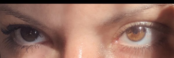 SusiMJK Profile Banner