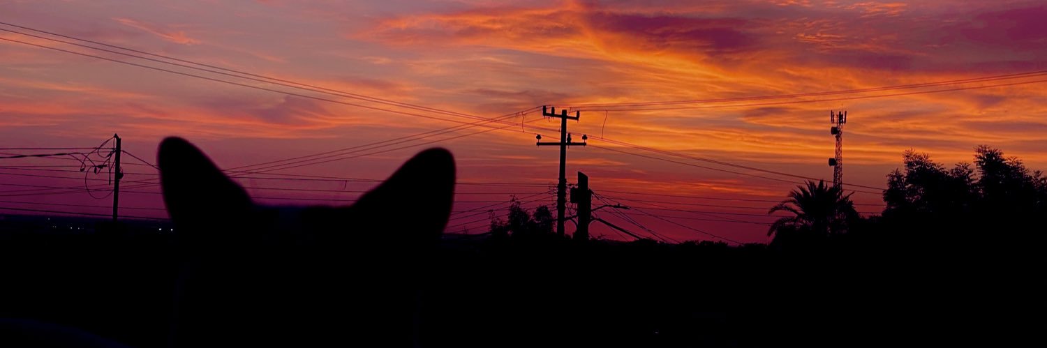 Zotelo19's profile banner image
