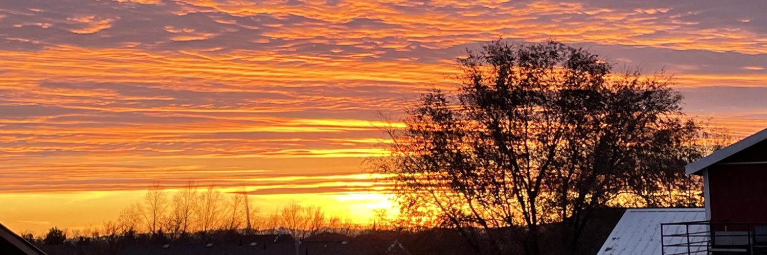 Tiffany Hogan, OLY banner