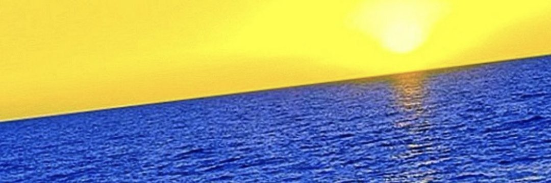 alaahareb22's profile banner image