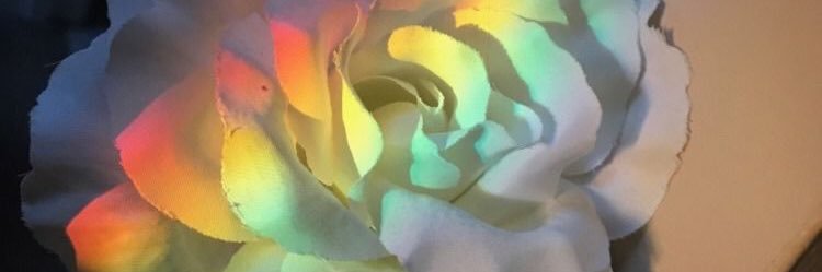 RexDeNoctem's profile banner image