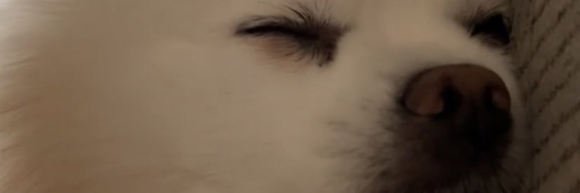 RyanJ_Connor's profile banner image