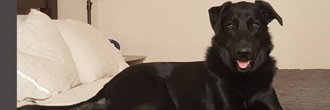 tiffanymeyeronc's profile banner image