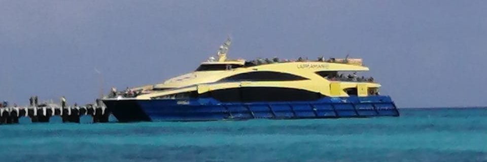 FelipeG96799249's profile banner image