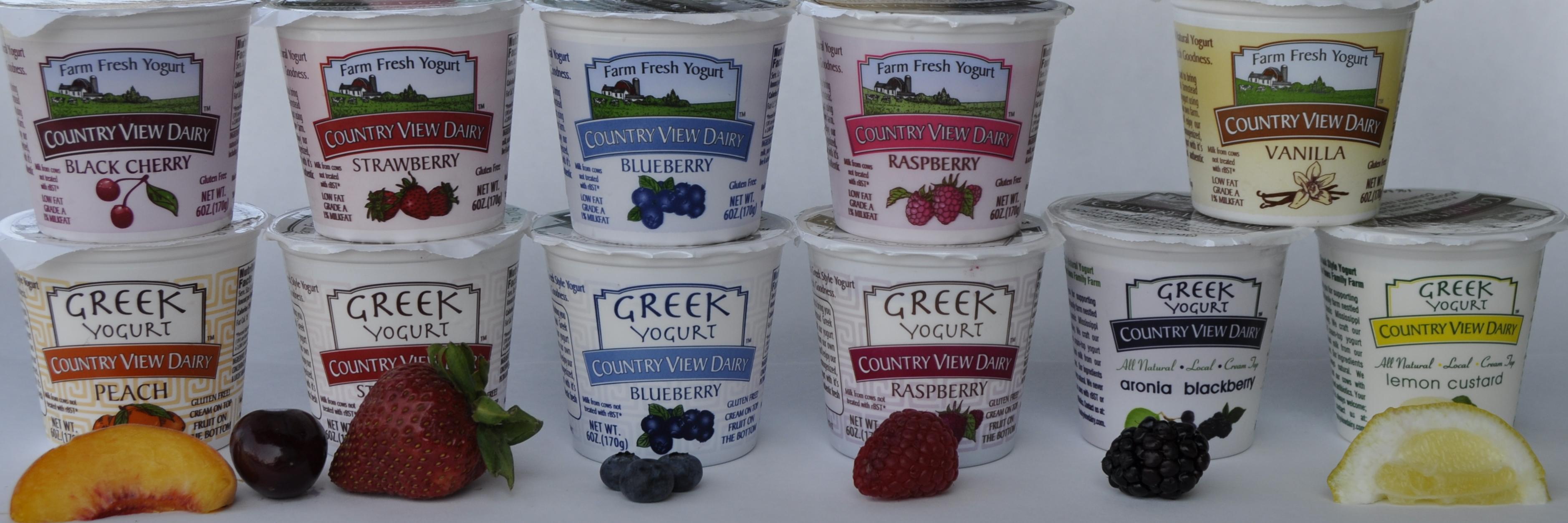 Country View Dairy banner