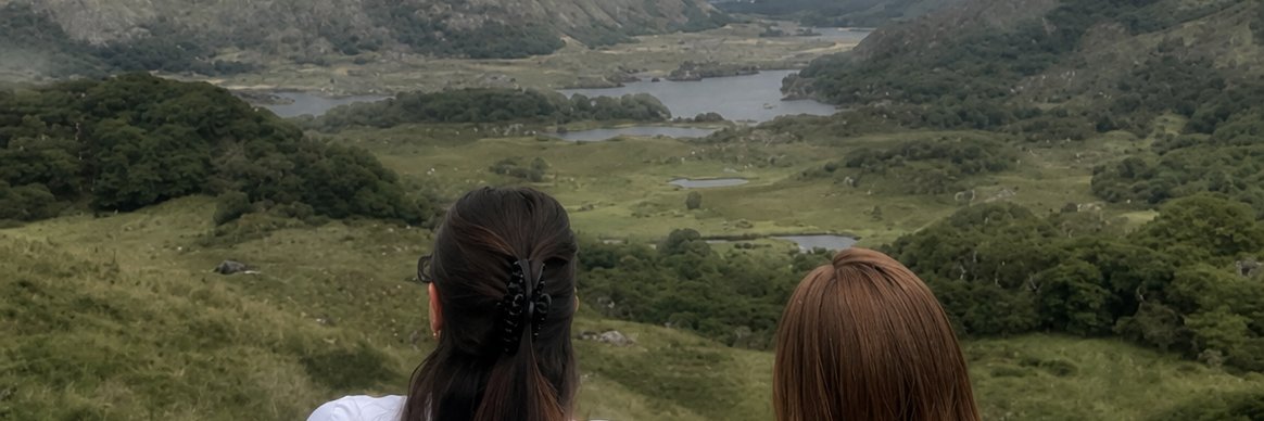 Vivanirl's profile banner image