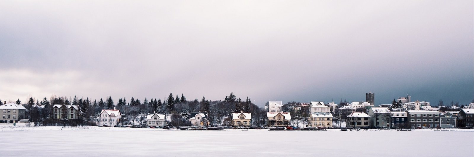 Solvi Logason banner