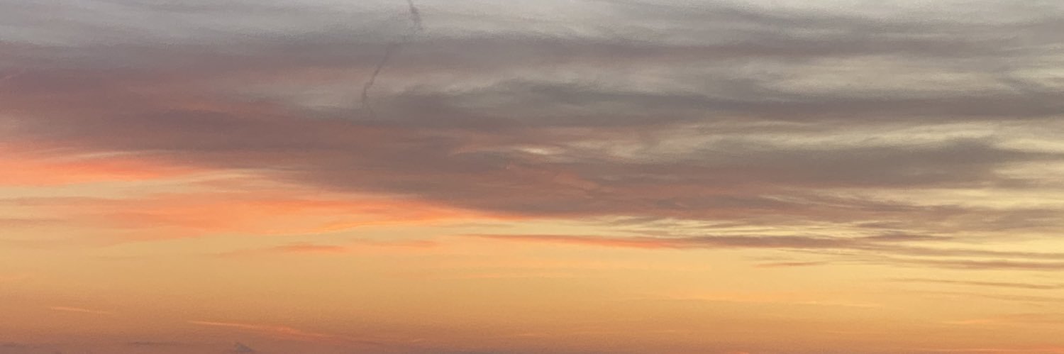 VioletBrinson's profile banner image