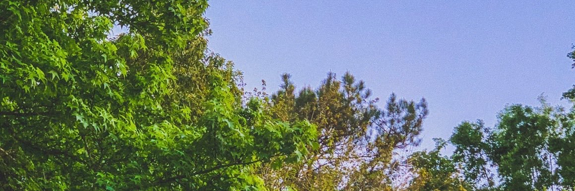 MyMorningLexi's profile banner image