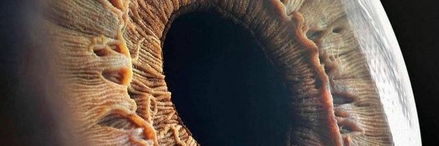 TylerSugden's profile banner image