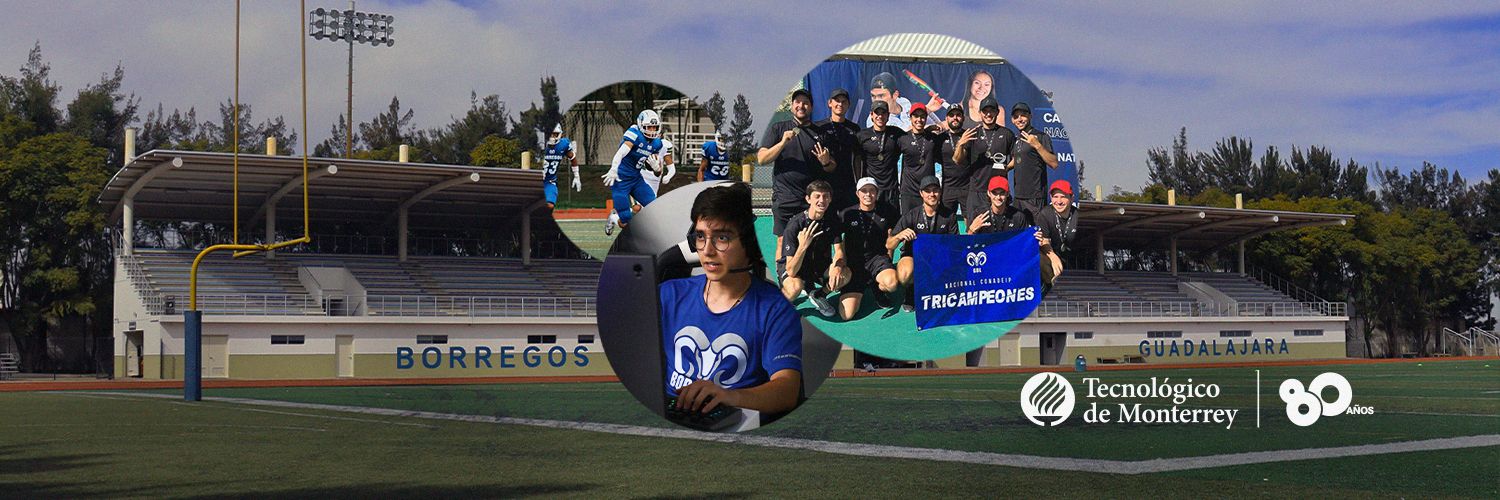 Borregos GDL banner