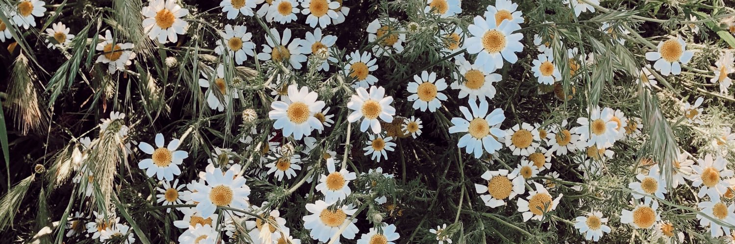 lauracampo16's profile banner image