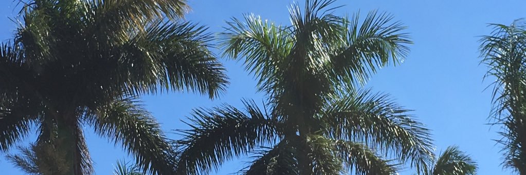 Michelle Dunlap banner