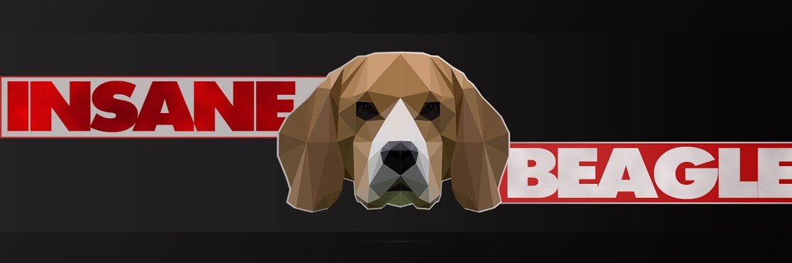 InsaneBeagle's profile banner image