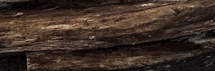 roadsiderhythm's profile banner image