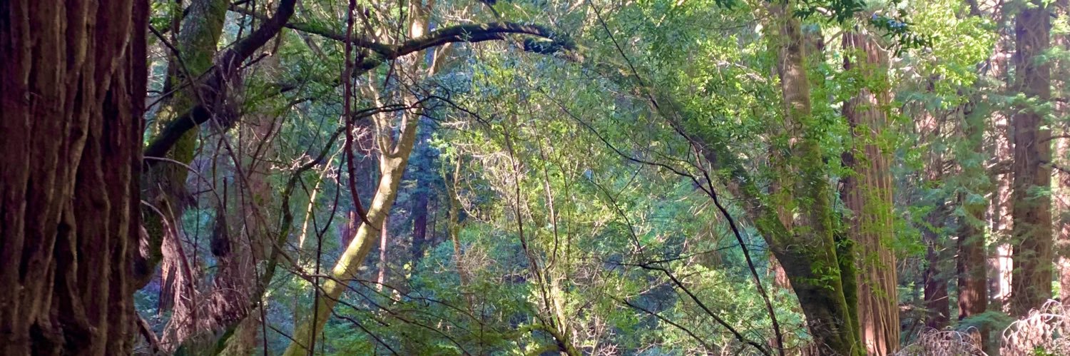 Manang Alex🌿🌞 banner