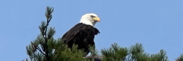 marykiff Profile Banner