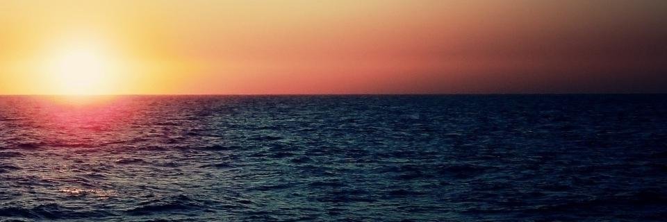 catalisando's profile banner image