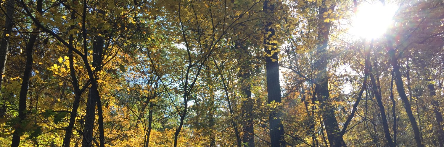 JenAppleLennon's profile banner image