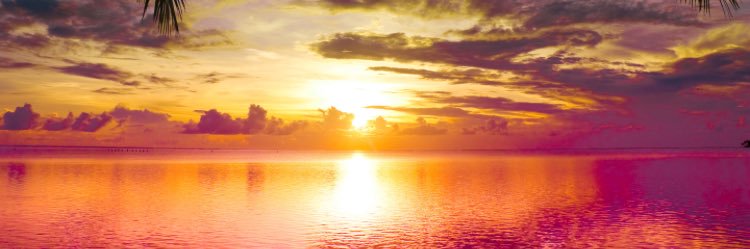 DearOld_Ari's profile banner image
