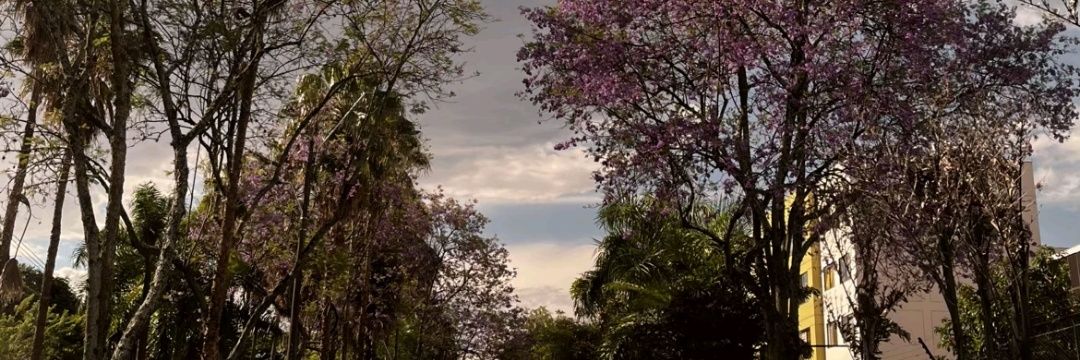 Vanne296's profile banner image