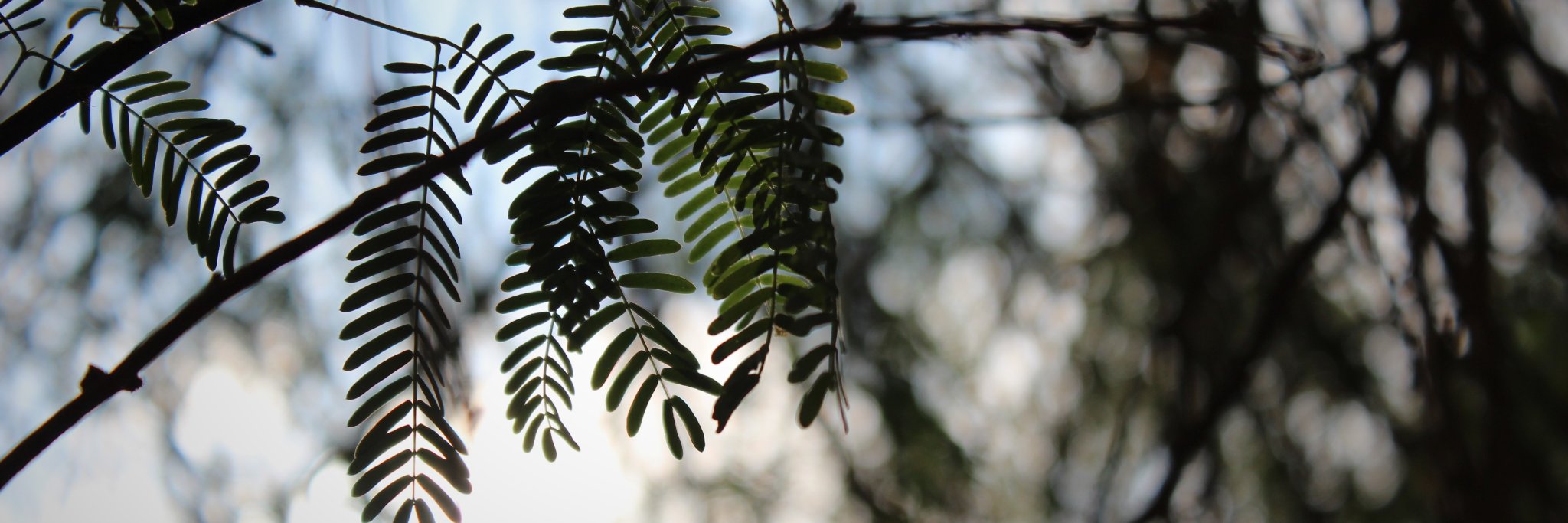 amwkh's profile banner image