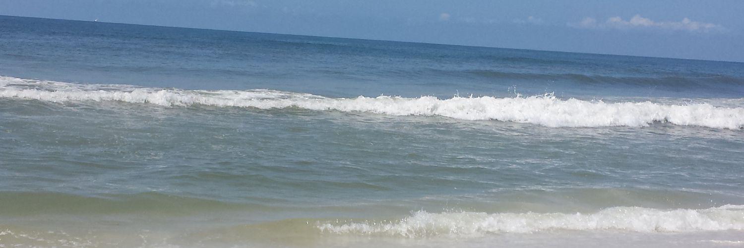 Sara Greene Meadway banner