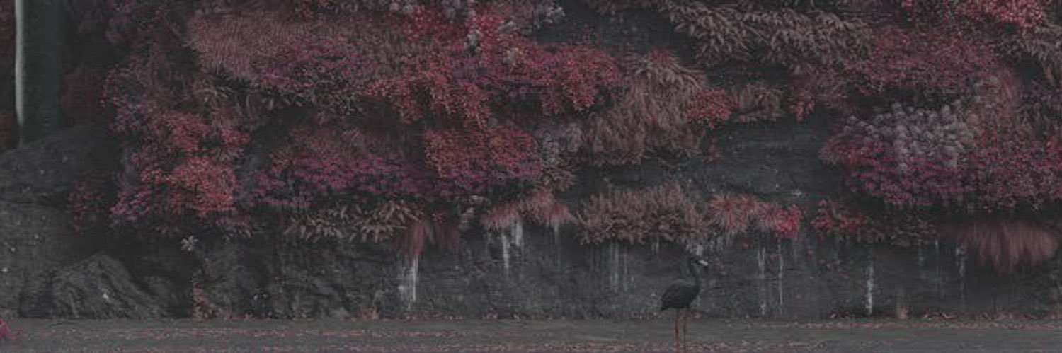 CynthiaG707's profile banner image