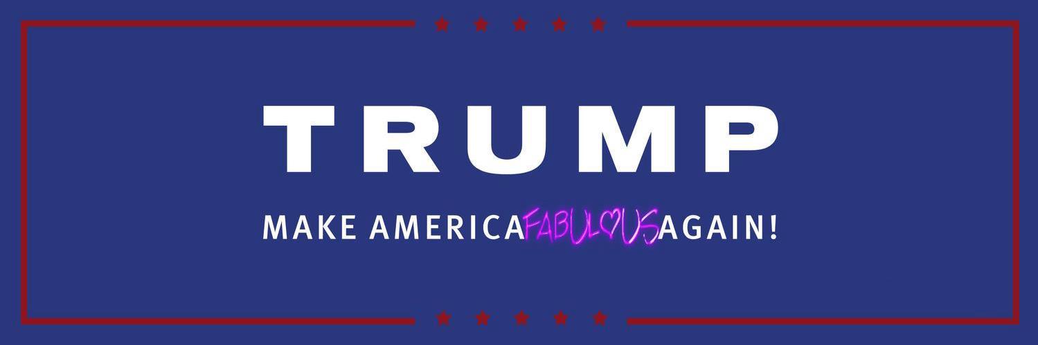 GayDonaldTrump's profile banner image