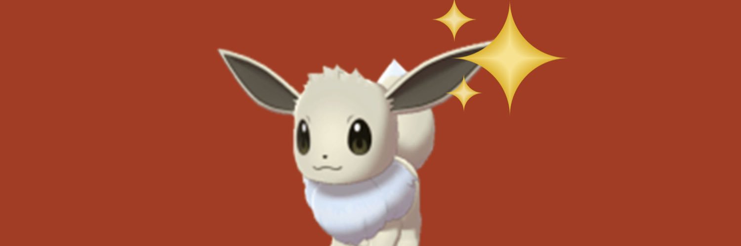 Trainerhamzia's profile banner image