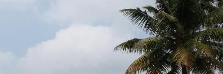 ghmtf44's profile banner image