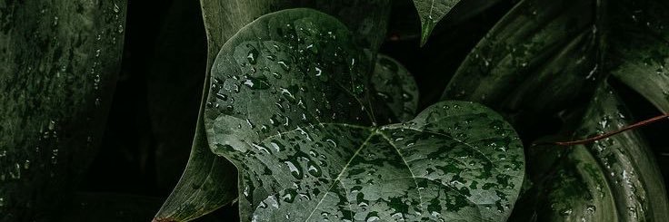 destinyjoyhill's profile banner image