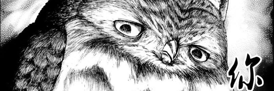 zhoucan1's profile banner image