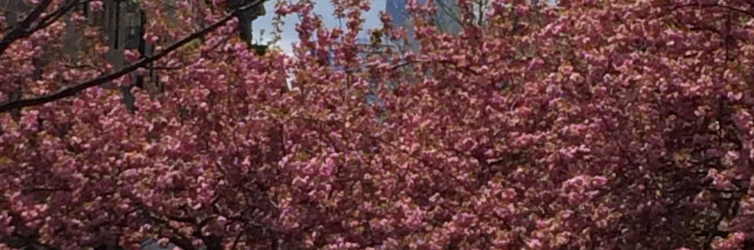 amanda_parkman's profile banner image