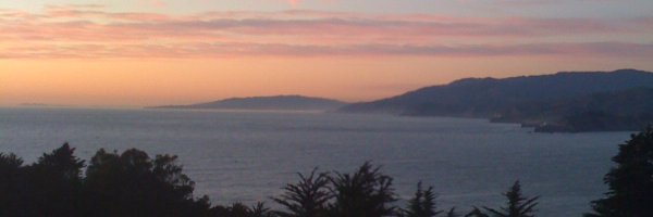 AnnaMolofskyLab Profile Banner