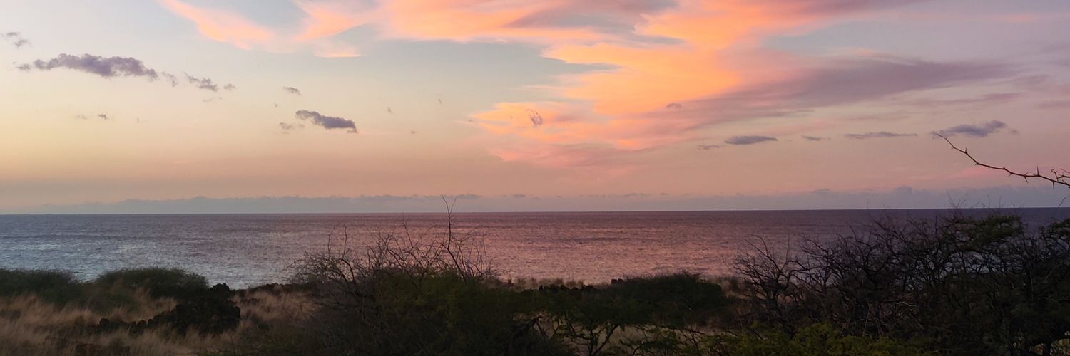 Marena Brinkhurst Smith 🇺🇦 banner