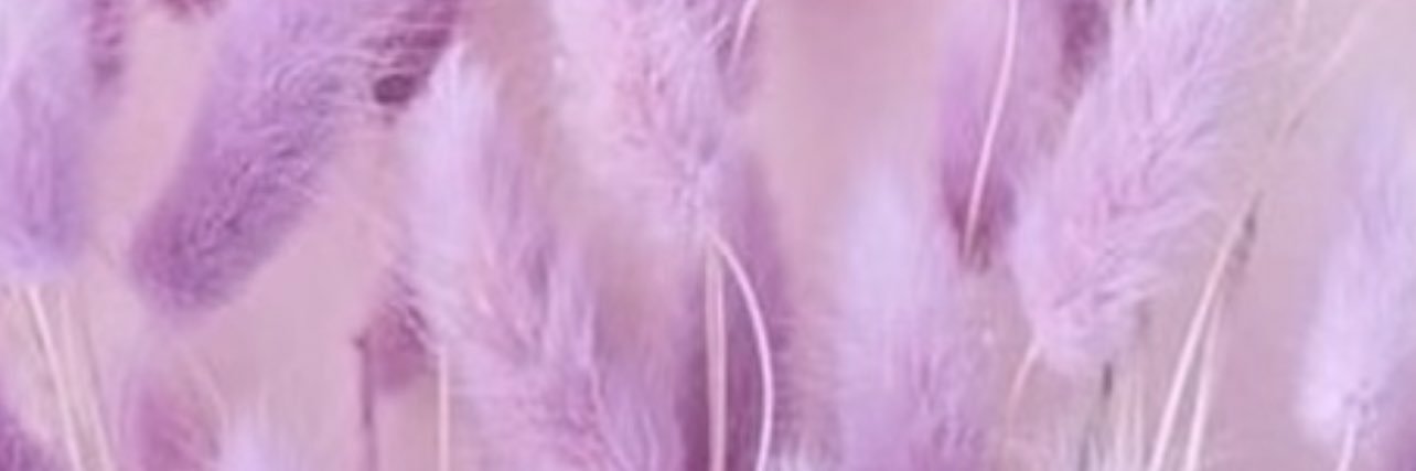 kennedy_vylee's profile banner image